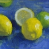 Lemons and limes sketch