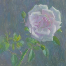 White rose tempera